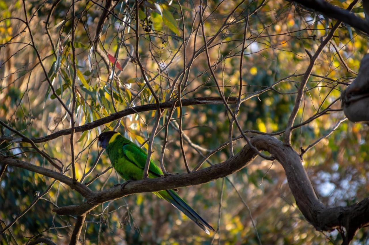 Margaret River Chalets Eksteriør billede